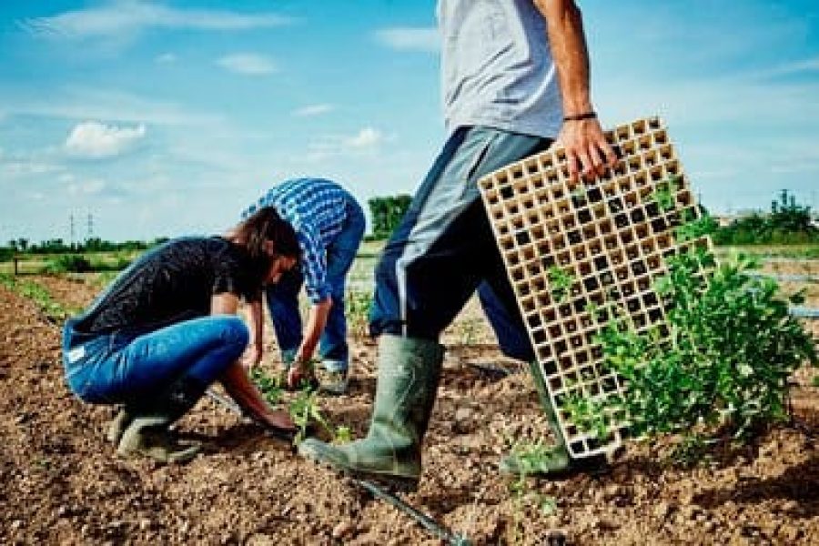 UE reduce emisiones del CO2