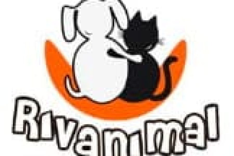 rivanimal asociación protectora de animales que trabaja por su adopción y derechos