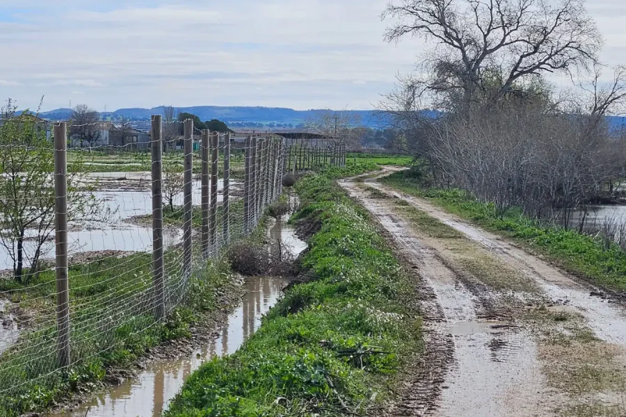 rivas-laguna-del-campillo