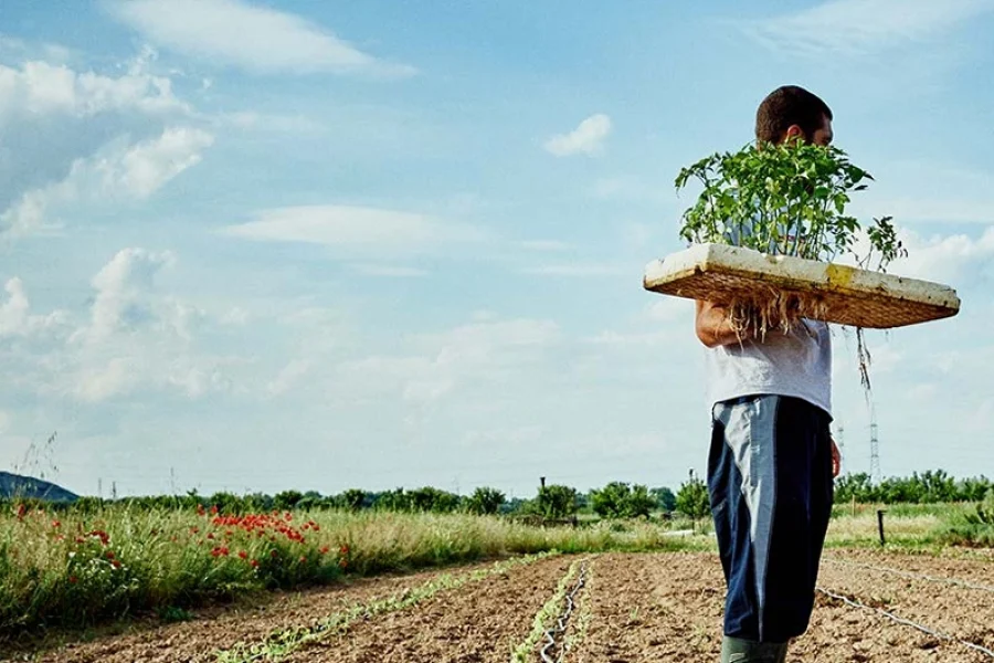 Menú de Rivas: una agroecología ejemplar