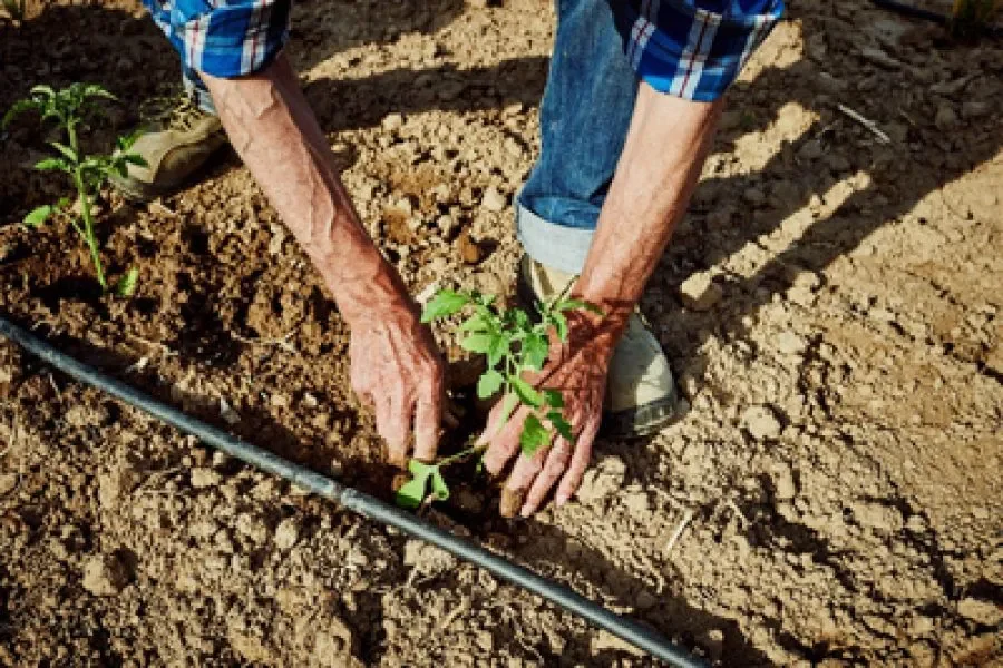 Crece la actividad de Soto del Grillo
