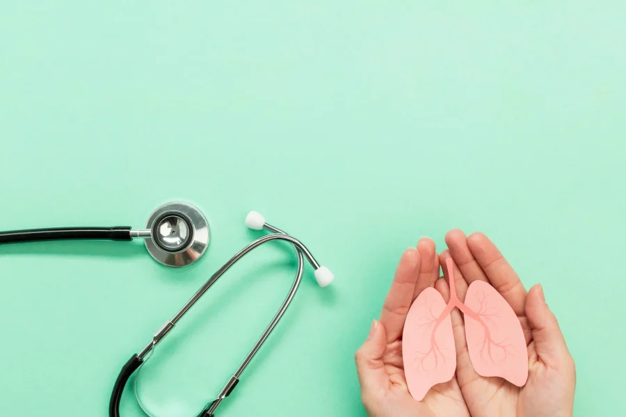 Un par de manos sostienen un recorte de papel rosa de pulmones humanos junto a un estetoscopio sobre un fondo verde claro, sugiriendo un estudio sobre cómo la dieta casi vegetariana puede beneficiar a los pulmones y riñones.