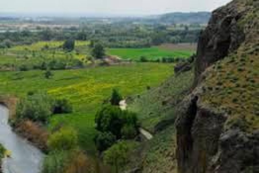 Rotonda de Rivas tendrá un escultura de fauna y flora del Sureste