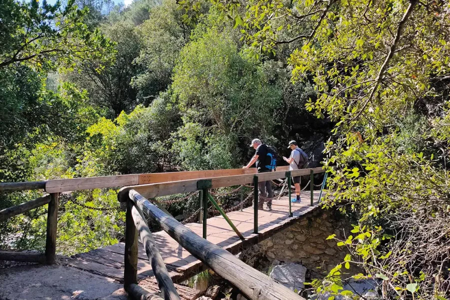 Dos personas con mochilas cruzan una pasarela de madera en una zona boscosa, rodeadas de árboles verdes y la luz del sol. Las sencillas barandillas del puente y el suelo rocoso de debajo crean una escena tranquila, perfecta para probar un borrador automático.
